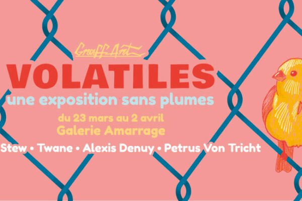 Dans les nuages – Image 3